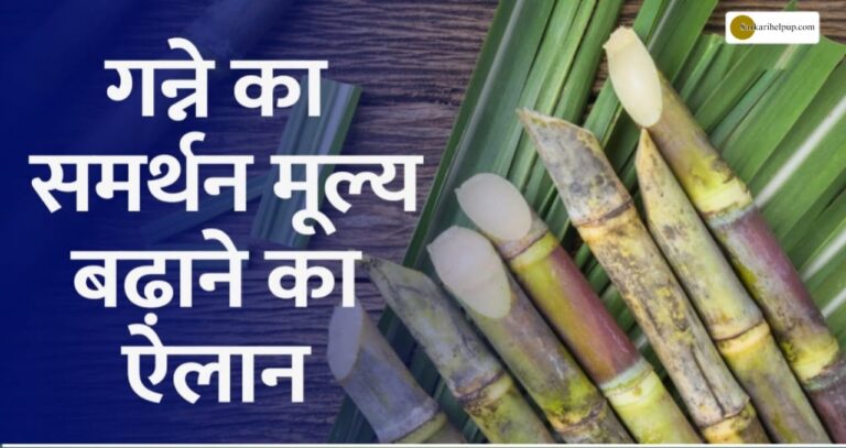 गन्ना किसानों के लिए खुशखबरी: इस सरकार ने बढ़ाया गन्ना मूल्य अब नए दामों से होगी ज्यादा कमाई?