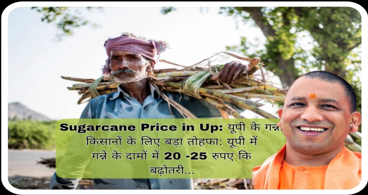 Sugarcane Price in UP